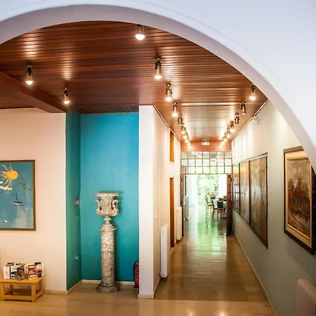 Hotel Mimoza Argassi