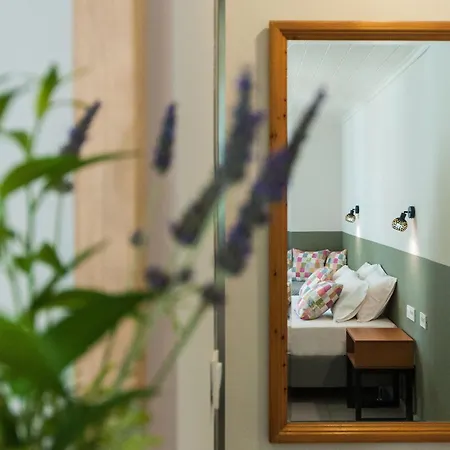 Hotel Mimoza Argassi