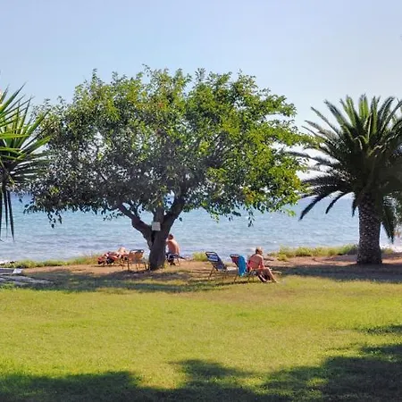 Mimoza Hotel Argassi