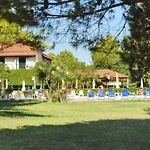 Mimoza
