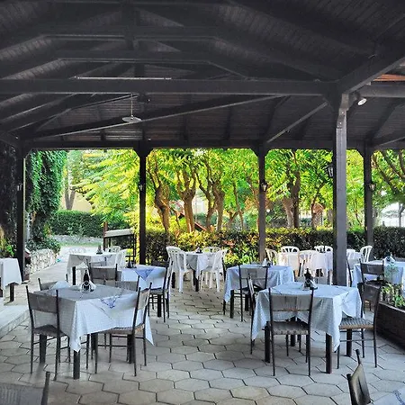 Mimoza Аргаси