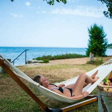 Mimoza Ξενοδοχείο 4*