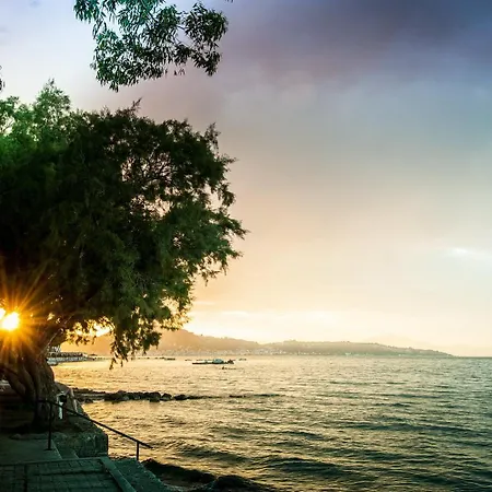 Mimoza Ξενοδοχείο