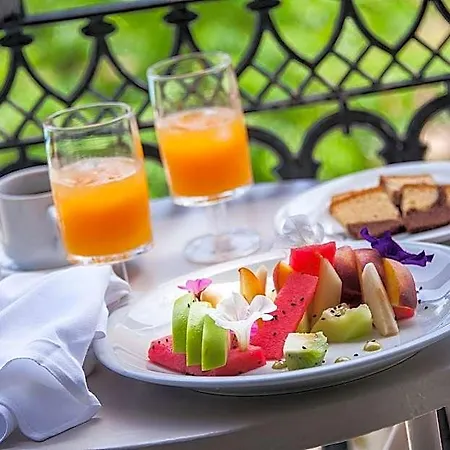 Mimoza Hotel 4*