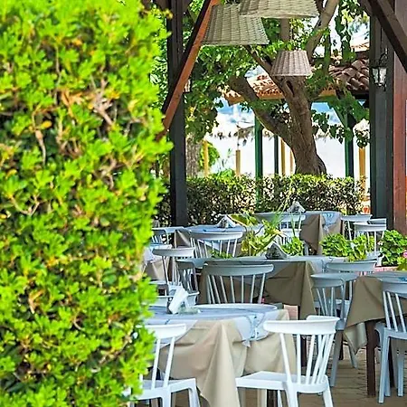 Hotel Mimoza 4*
