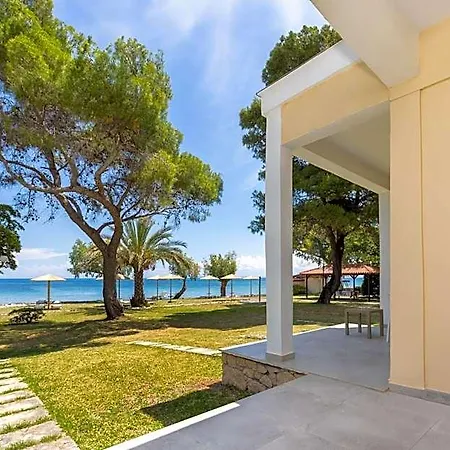 Mimoza Hotel 4*