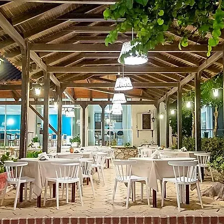 Mimoza 4* Аргаси