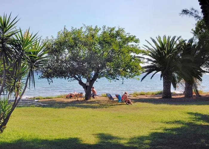 Mimoza Hotel Argassi