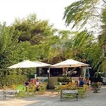 Hotel Mimoza Argassi