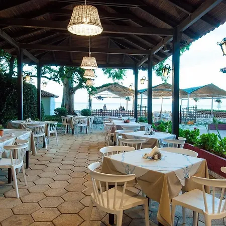 Mimoza 4* Αργάσι