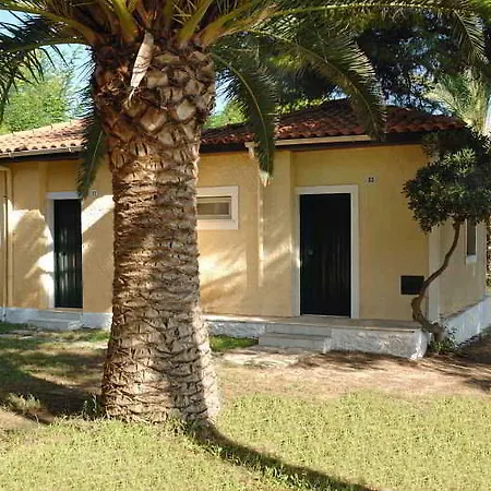 Mimoza 4*
