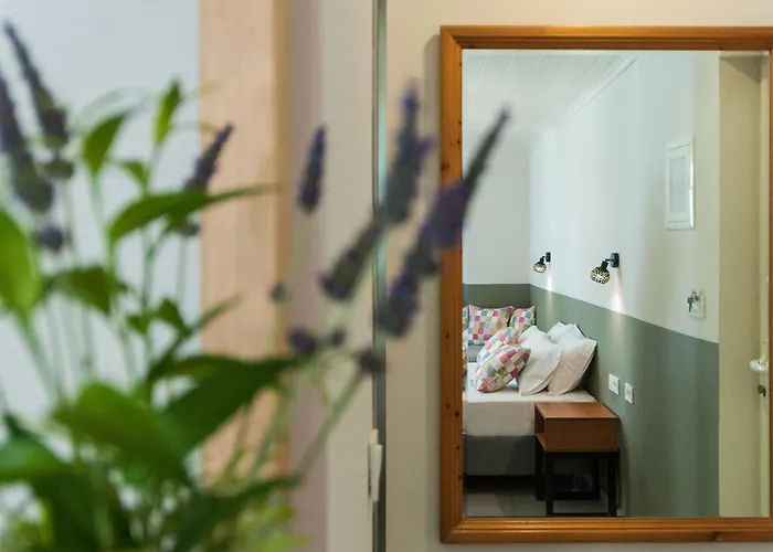 Hotel Mimoza Argassi